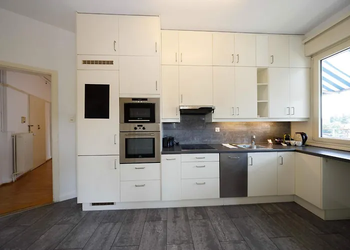 Spacious Huge Terrace & Views Appartement Zurich