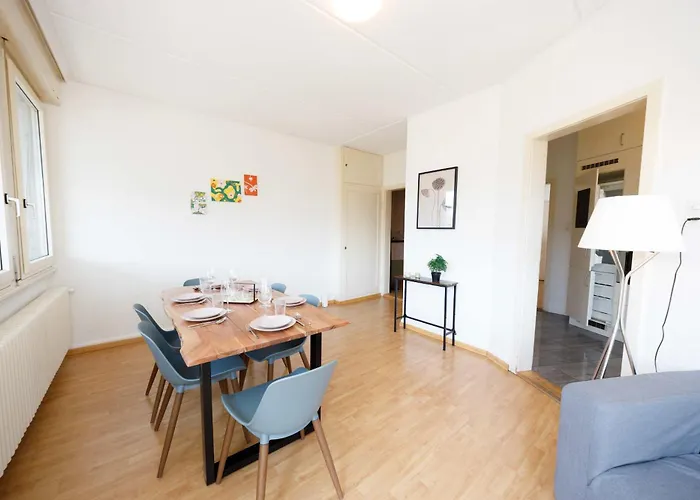 Spacious Huge Terrace & Views * Zurich